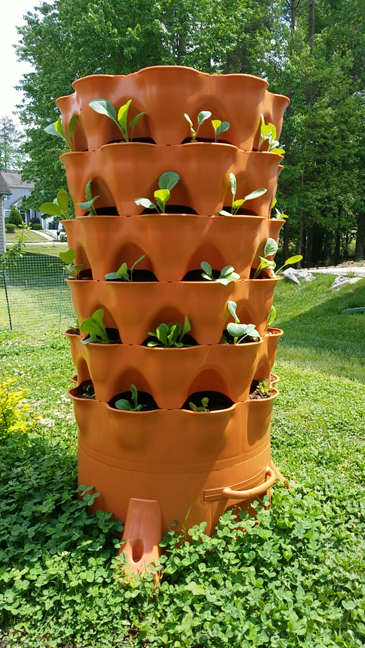 Pre-built vertical gardening solutions like the Garden Tower 2, gives users the ability to grow 50 plants in a small footprint, without having to design and build a custom unit or structure. Photo: Samuel Wilson