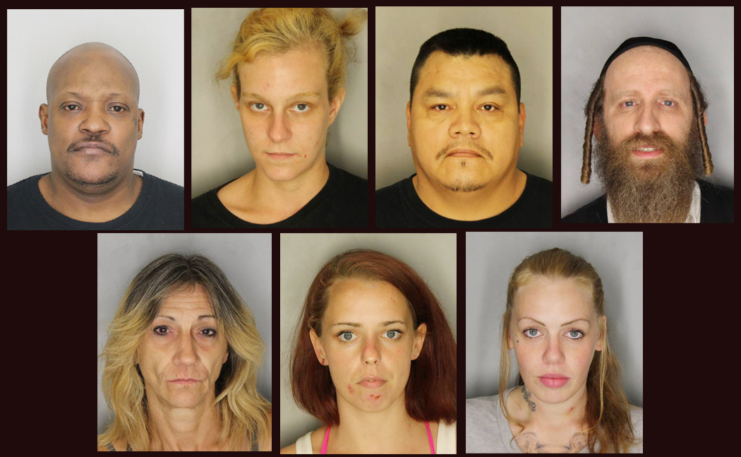 Seven Subjects Arrested in Prostitution Sting - Hudson ...
