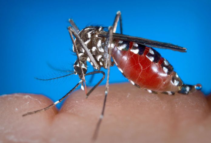 Mosquitoes with West Nile Virus have been found in Orange County.