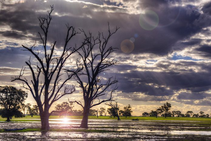Warming-exaggerated flooding events can spread pathogens across agricultural fields which in turn can lead to contaminated crops on our dinner plates. Photo: Indigo Skies Photography, FlickrCC.