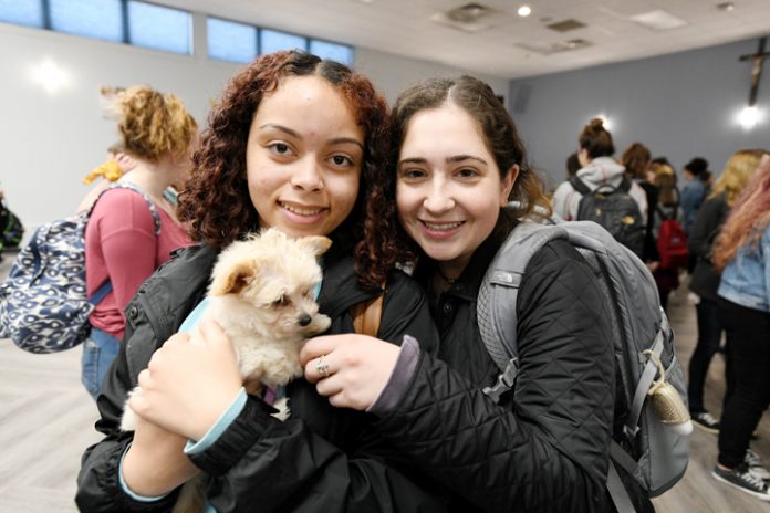 Mount Saint Mary College students enjoyed their time with puppies and kittens from the Hudson Valley SPCA on March 14.