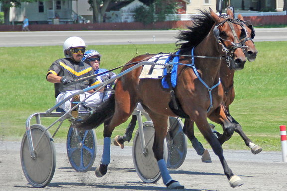 Grand Circuit Harness Racing kicks off on July 4th, with “County Fair Races” highlighted by plenty of local talent. Photo: Geri Schwarz