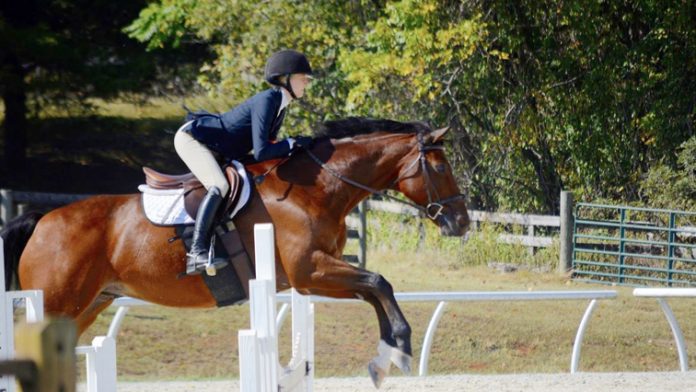 The State University of New York at New Paltz equestrian team earned the programs first victory in National Collegiate Equestrian Association (NCEA) action Friday after defeating hosting Lynchburg, 6-1.