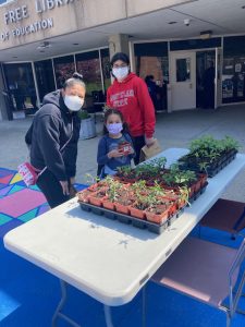 The Peña family of the City of Newburgh picks out tomato plants to take home as part of Saturday’s grand opening of the Grand Street Garden at the Newburgh Free Library’s Courtyard.