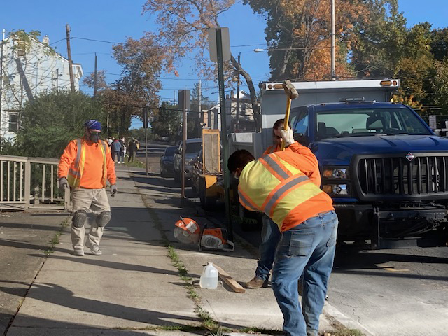City of Newburgh Department of Public Works employees did the heavy lifting in the planting of 32 new trees in the City last week. It was part of the Environmental Justice Fellowship program. Photo Provided