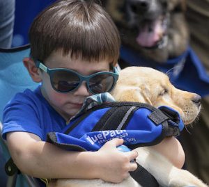 Ian Farmer cuddles with future autism service dog Peaches at BluePath Service Dogs’ sixth annual walkathon.