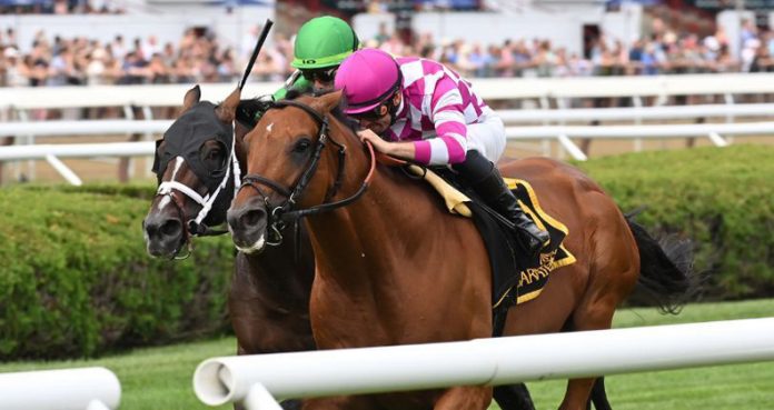 Rockemperor became racing’s newest millionaire with a come-from-behind victory in Sunday’s Grade 2, $250,000 Bowling Green going 1 3/8 miles over the inner turf at Saratoga Race Course. Rockemperor banked $137,500 in victory, which brought his overall bankroll to $1,134,904. Photo: NYRA
