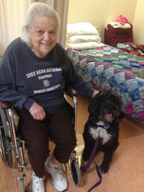 “Therapy Dogs”…offering wordless comfort, support, and confidence in difficult situations & locations, or wherever they may provide distraction & relief from day-to-day pressures of life…