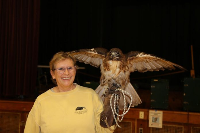 Ellen Kalish, founder and executive director of Ravensbeard Wildlife Center, brought a red tailed hawk, a barred owl, a barn owl, a peregrine falcon, and other winged-friends to her talk with students in Grade 3 from Chambers, John F. Kennedy, and Edward R. Crosby Elementary Schools.
