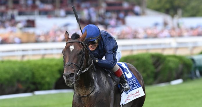 Bolshoi Ballet, who won his North American debut in the Grade 1 Belmont Derby more than two years ago, put away favored fellow Irish-bred Stone Age leaving the far turn and powered through the stretch to a decisive 4 1/2-length triumph in Saturday’s Grade 1, $750,000 Resorts World Casino Sword Dancer at Saratoga Race Course. Photo: Chelsea Durand