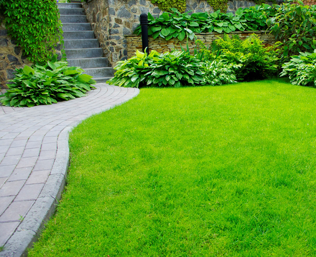 During this season, as temperatures rise, so should the care of your yard’s lawn and landscape. However, it’s important to ensure your yard is healthy before a heat wave hits. Photo Credit: iStockphoto / NNPA