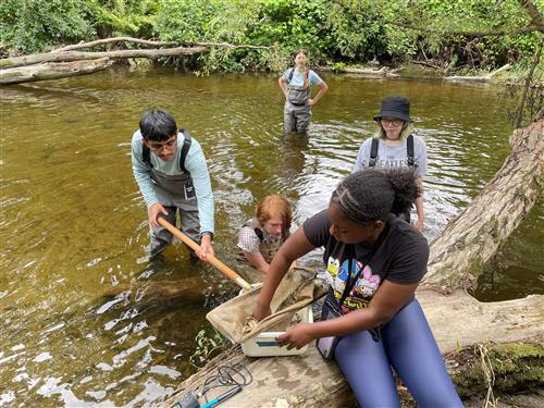 Senior Santana Wilson spent three weeks this summer studying the relationship between stream flow and the diversity of macroinvertebrates.