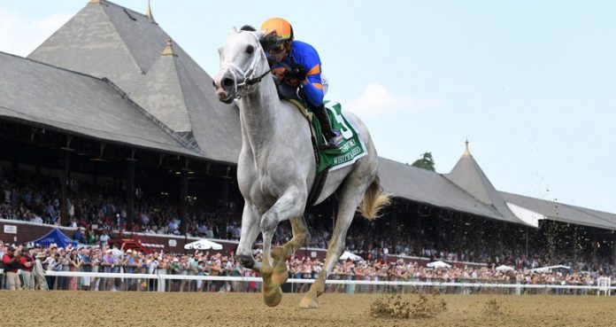 C Two Racing Stable and Antonio Pagnano’s multiple graded stakes-winner White Abarrio stalked and pounced to a convincing score in Saturday’s Grade 1, $1 million Whitney, at Saratoga Race Course.