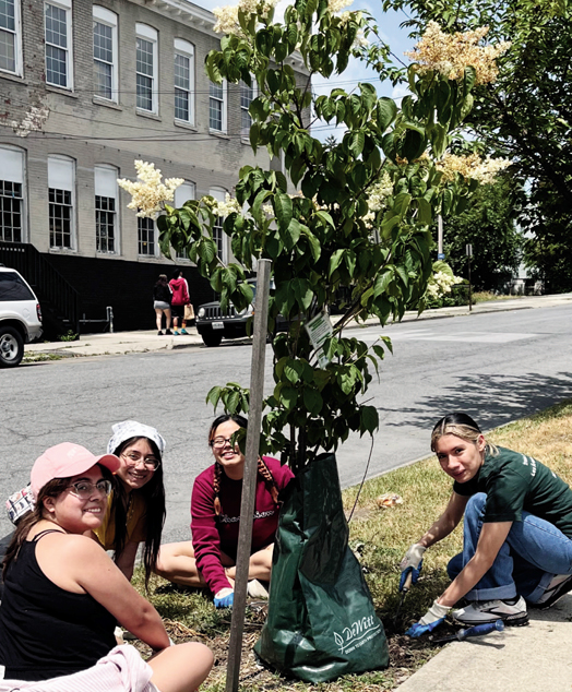 Planting Power Newburgh invites you to learn (a bunch) about and get hands-on experience in practical ways we can restore the City of Newburgh’s environment.