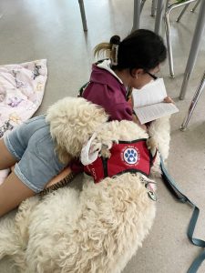 In the summer of 2023, The NECSD Empire Program implemented a highly successful “Read with Dogs” program.