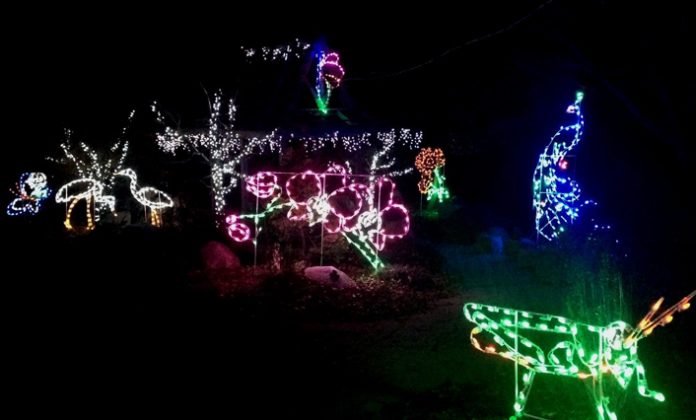 The Orange County Department of Parks, Recreation and Conservation is pleased to announce the 15th annual “Holiday Lights in Bloom” at the Arboretum at Thomas Bull Memorial Park.
