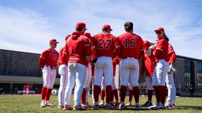 The Marist baseball team fell in the series finale against Niagara, Saturday afternoon.