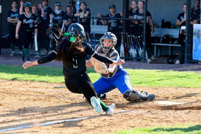 The Mount Saint Mary College Knights’ softball season came to a close last Tuesday with a hard-fought 12-2 defeat against the College at Old Westbury. Photo: Lee Ferris
