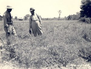 USDA and Tuskegee Institute (now Tuskegee University) staff worked together to restore the land and build a national forest that served the community.