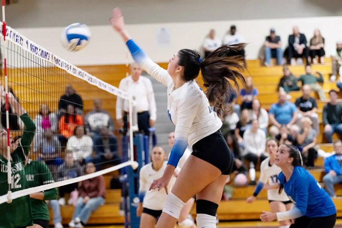 The Mount Saint Mary College women’s volleyball team split its tri-match at Ramapo. Photo: Lee Ferris