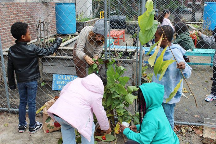 Students at Clinton and Smith elementary schools will beautify and harvest from their outdoor gardens and learn how to cook using those ingredients.