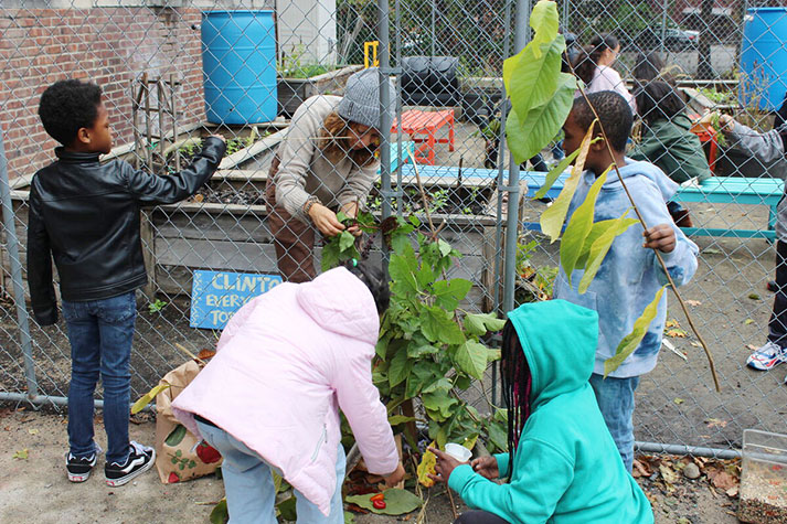 Students at Clinton and Smith elementary schools will beautify and harvest from their outdoor gardens and learn how to cook using those ingredients.