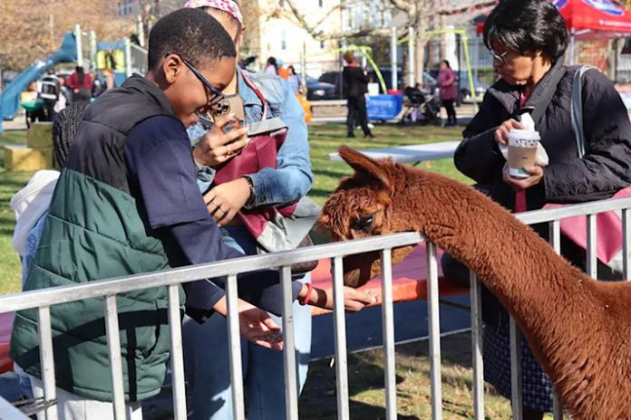 Fallfest2025-4 Families throughout Mount Vernon spent Saturday afternoon at Graham School, engaging in fun-filled activities together at the district-wide Fall Festival.