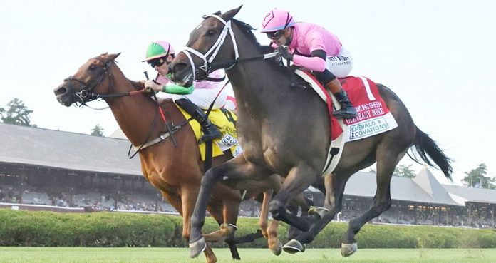 Flying P Stable’s Ole Crazy Bone set the pace and narrowly repelled the challenge from Fort George to win Saturday’s Grade 2. Photo: NYRA