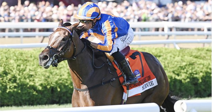 A two-week turnaround from a win in the local Grade 2 Glens Falls did not hamper the George Boughey-trained Survie as she stormed from last-to-first to defeat male rivals in Saratoga Race Course’s Grade 1, $750,000 Christophe Clement Turf. Photo: NYRA
