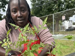 The Grow Together Garden, a successful undertaking by the Salvation Army, Poughkeepsie Community Center, opened this past summer. Providing 15 raised beds of tomatoes, peppers and herbs, the GROW (gather, restore, overcome, witness) Garden has 12 families signed up, 10 of whom are actively involved; while plans to expand- members, vegetables and classes- are in the works.